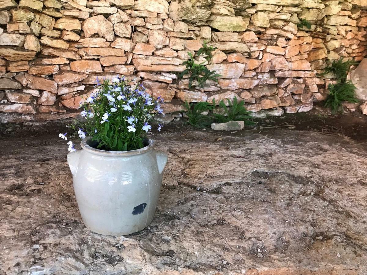 D'hotes Pech Blanc 3* Calvignac